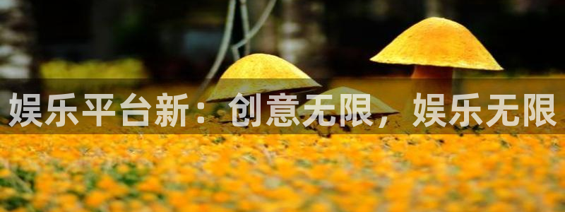 益达娱乐凯捷平台注册链接：娱乐平台新：创意无限，娱乐无限
