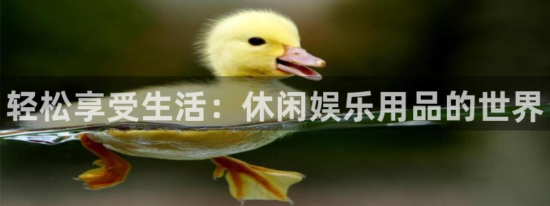益达娱乐体育4：轻松享受生活：休闲娱乐用品的世界