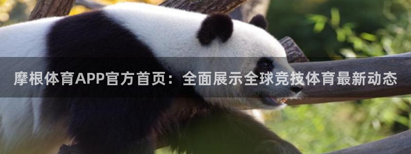 益达娱乐游戏官网版：摩根体育APP官方首页：全面展示全球竞技体育最新动态