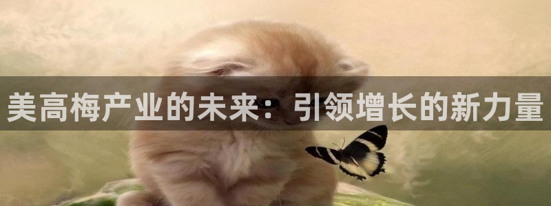 益达娱乐可靠吗：美高梅产业的未来：引领增长的新力量