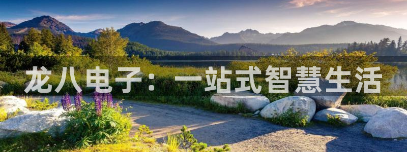 益达娱乐3代理：龙八电子：一站式智慧生活