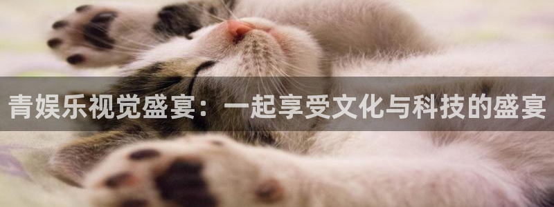 益达娱乐登录：青娱乐视觉盛宴：一起享受文化与科技的盛宴