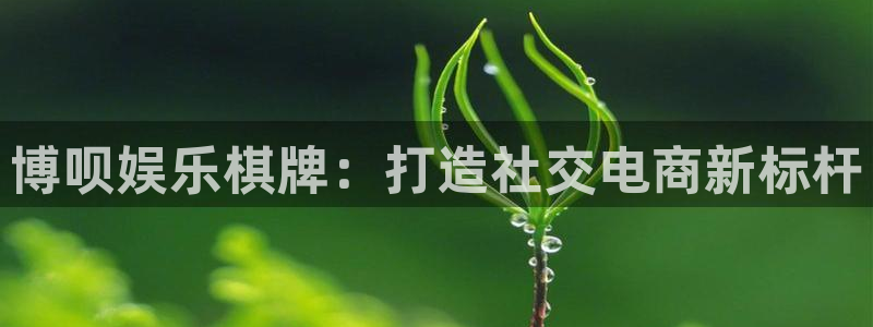 益达娱乐注册：博呗娱乐棋牌：打造社交电商新标杆