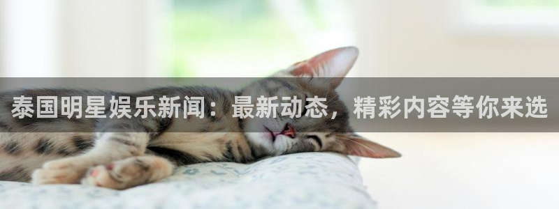 益达娱乐凯捷平台注册链接：泰国明星娱乐新闻：最新动态，精彩内容等你来选