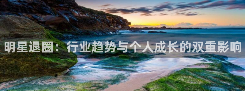 益达娱乐苹果手机下载链接：明星退圈：行业趋势与个人成长的双重影响