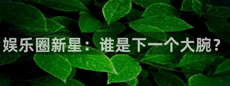 益达娱乐2平台登录：娱乐圈新星：谁是下一个大腕？
