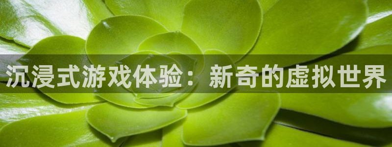 益达娱乐手机客户端下载安装：沉浸式游戏体验：新奇的虚拟世界