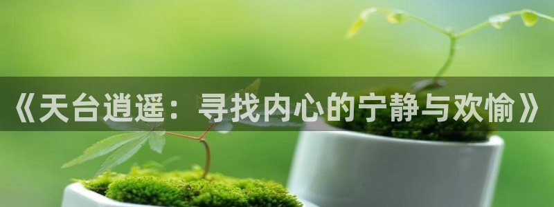 益达娱乐官方网站：《天台逍遥：寻找内心的宁静与欢愉》