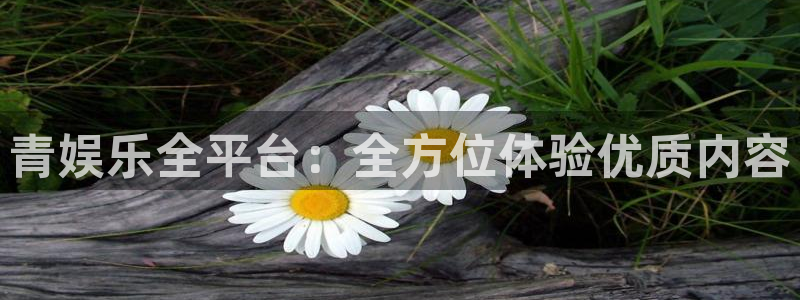 益达娱乐体育老板是谁：青娱乐全平台：全方位体验优质内容
