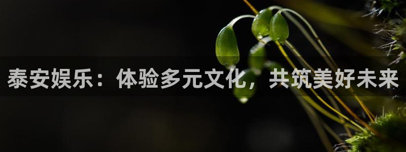 益达娱乐体育注册登录入口：泰安娱乐：体验多元文化，共筑美好未来