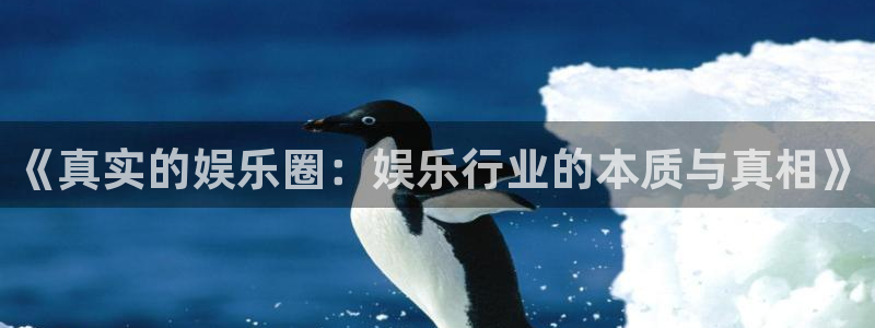 益达娱乐体育在线注册：《真实的娱乐圈：娱乐行业的本质与真相》