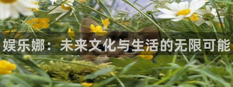 益达娱乐3平台登录注册：娱乐娜：未来文化与生活的无限可能