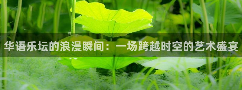 益达娱乐注册链接入口：华语乐坛的浪漫瞬间：一场跨越时空的艺术盛宴