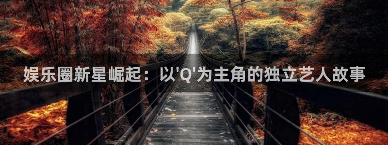 南宫益达娱乐：娱乐圈新星崛起：以\'Q\'为主角的独立艺人故事