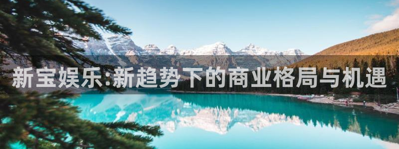 益达娱乐环保：新宝娱乐:新趋势下的商业格局与机遇