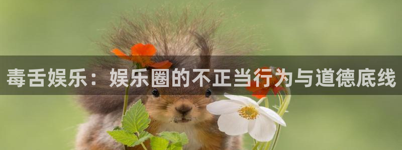 益达娱乐ccmpc：毒舌娱乐：娱乐圈的不正当行为与道德底线