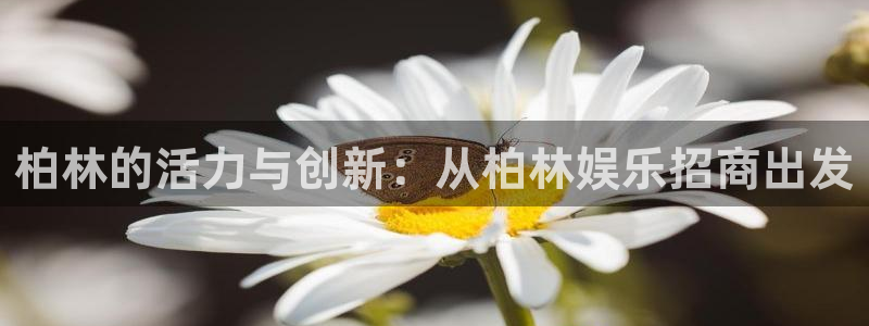 益达娱乐登录注册：柏林的活力与创新：从柏林娱乐招商出发